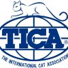logo-tica